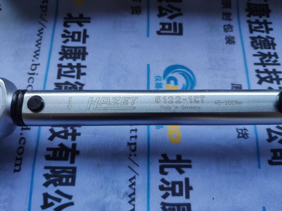 6APE80M-4-IE2電機birkenbeul