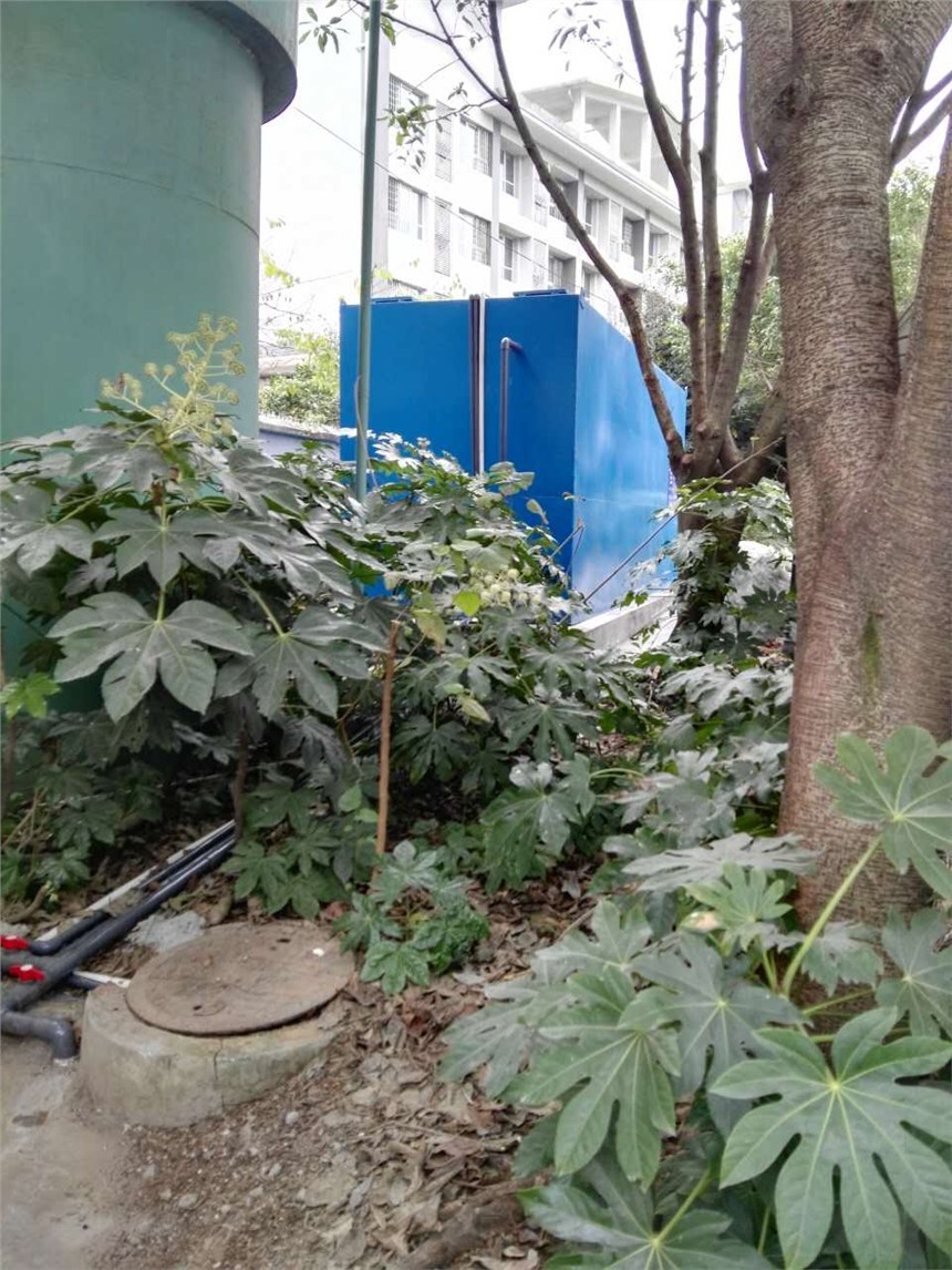 成都廠區(qū)一體化生活污水處理設(shè)備維護(hù)維修。  消毒計(jì)量泵維修