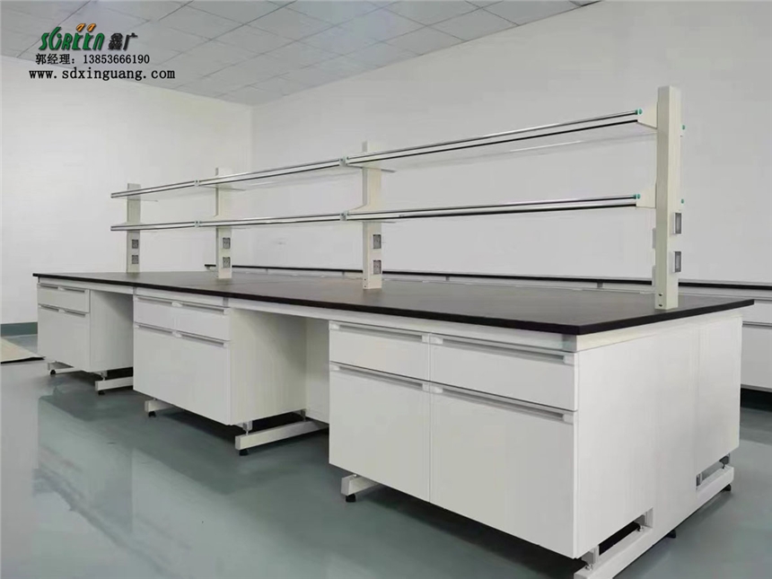 青島實(shí)驗(yàn)臺 實(shí)驗(yàn)桌 化驗(yàn)室工作臺 實(shí)驗(yàn)室操作臺定制