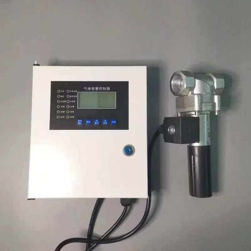 燃?xì)夤?、廚房專用天然氣泄漏報(bào)警器