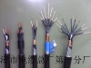IA-DJVPVP本安防爆計算機電纜型號（天聯廠家）報價