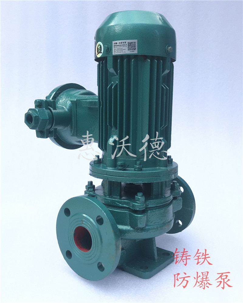 防爆管道泵GDB80-315(I)A技術(shù)特點(diǎn)