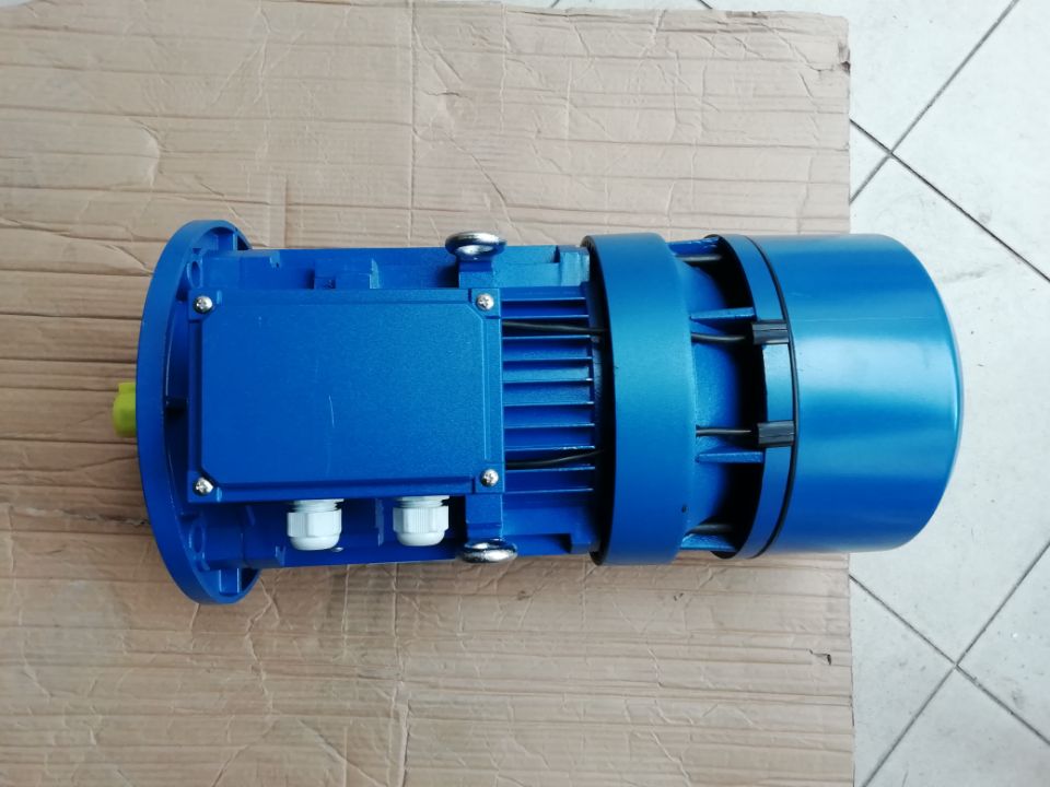 意大利 SEIMEC MOTOVARIO MGM COEL同款交流制動三相剎車電機