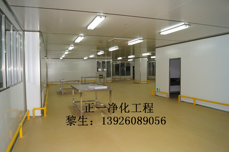 淄博sc潔凈食品廠房裝修公司 棗莊月餅凈化廠房裝修設(shè)計(jì) 東營沙琪瑪餅干凈化廠房裝修
