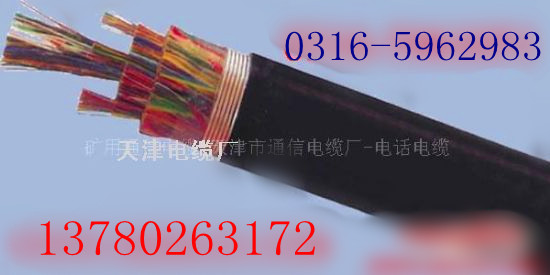 HYAT 200X2X0。5；充油通信電纜HYAT 200X2X0。4