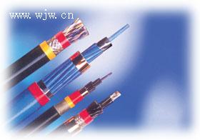 對(duì)絞對(duì)屏電纜DJYPVPR