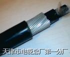 KVV23電纜生產商