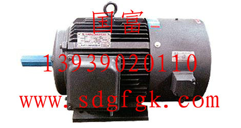 YVP-80M1-4變頻調(diào)速電動機  YVP-112M-4變頻調(diào)速電動機