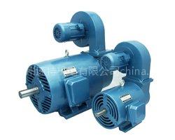 長期堵轉(zhuǎn)力矩電機，長期堵轉(zhuǎn)力矩電機價格，長期堵轉(zhuǎn)力矩電機質(zhì)量