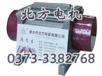 微型單項(xiàng)振動(dòng)電機(jī) 振動(dòng)電機(jī)技術(shù)參數(shù) 新鄉(xiāng)北方電機(jī)公司
