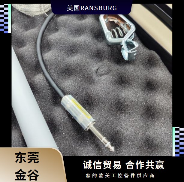 美國(guó)RANSBURG蘭氏76652-01高壓探頭套件原裝進(jìn)口
