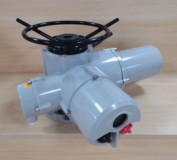 楊修F-DZW60-DS1-ZTD非侵入多回轉(zhuǎn)電動執(zhí)行機構