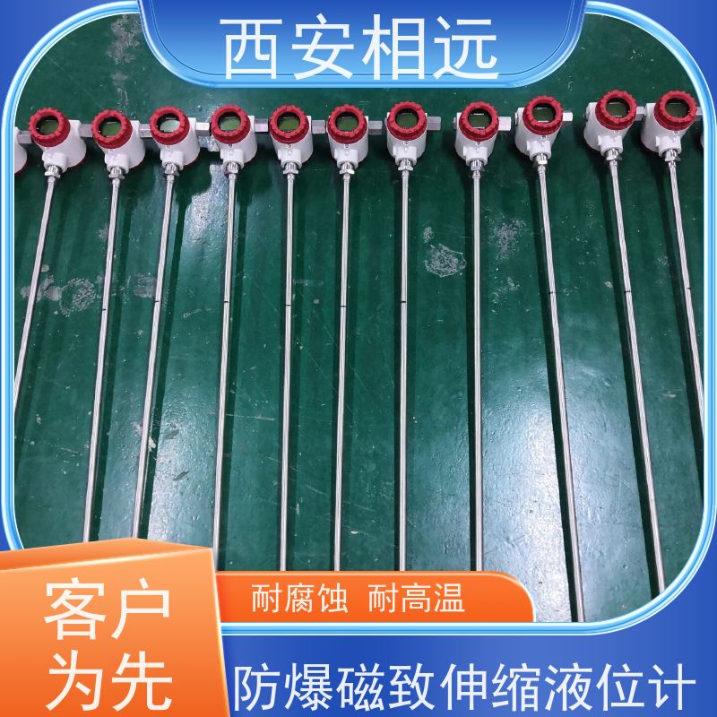 相遠(yuǎn)防爆磁致伸縮液位計(jì)性能穩(wěn)定維護(hù)簡(jiǎn)便庫存充足