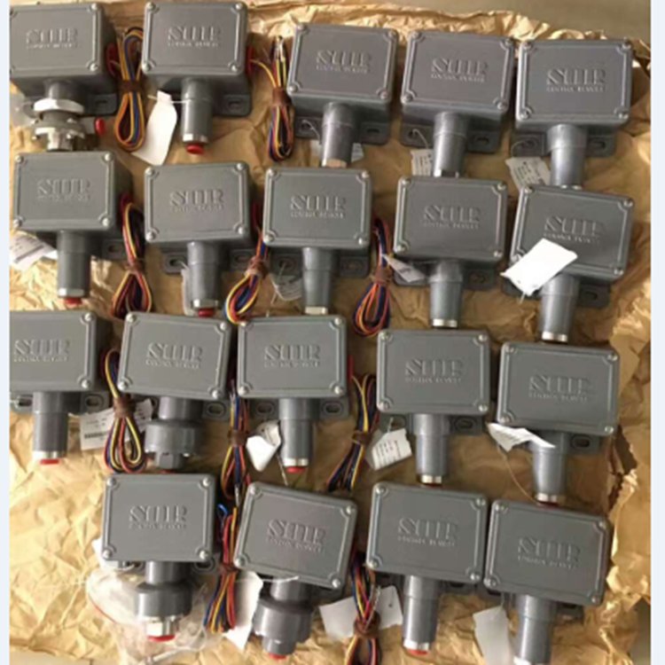 54NN-KK118-N4-C2A-X1TTYY壓力開關(guān)，防爆與防護(hù)等級為IP66