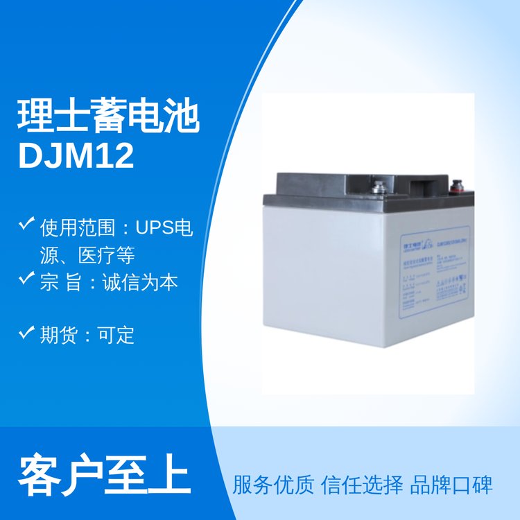 理士蓄電池DJM1238s38AH12V免維護(hù)資質(zhì)齊全多年行業(yè)經(jīng)驗(yàn)