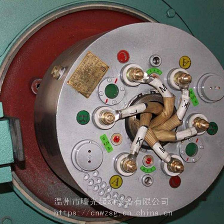 WSZK無刷液阻真空電機起動器WZR無刷軟啟動器電機廠配套