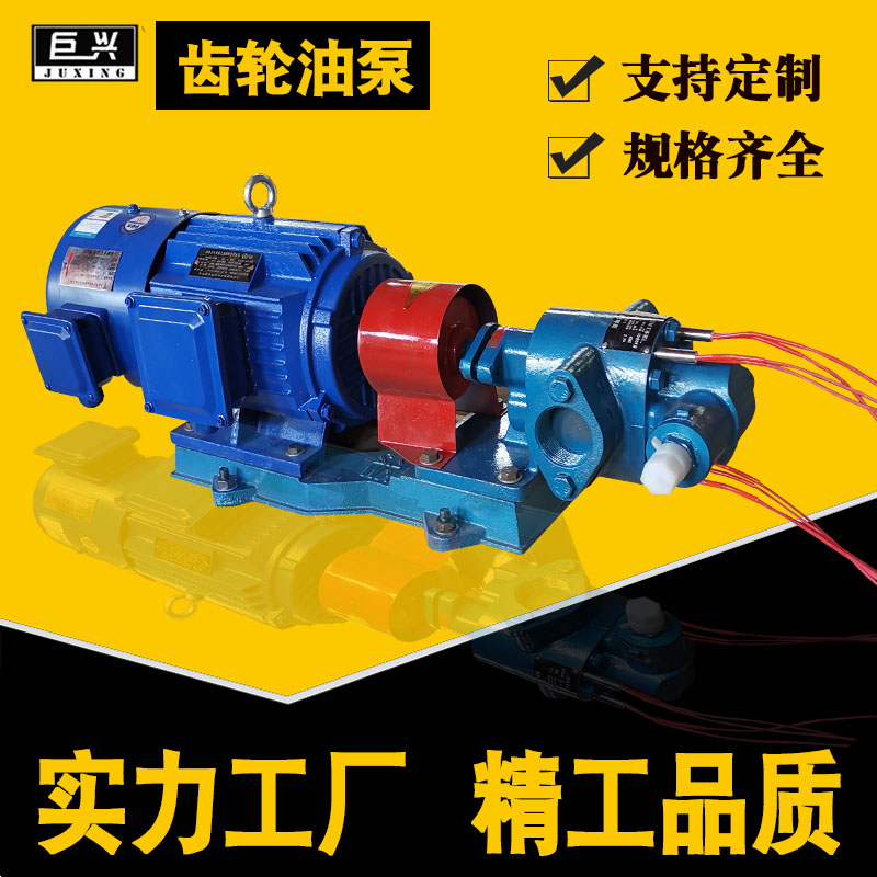 小型齒輪泵電動加熱泵抽食用油泵潤滑油泵廠家