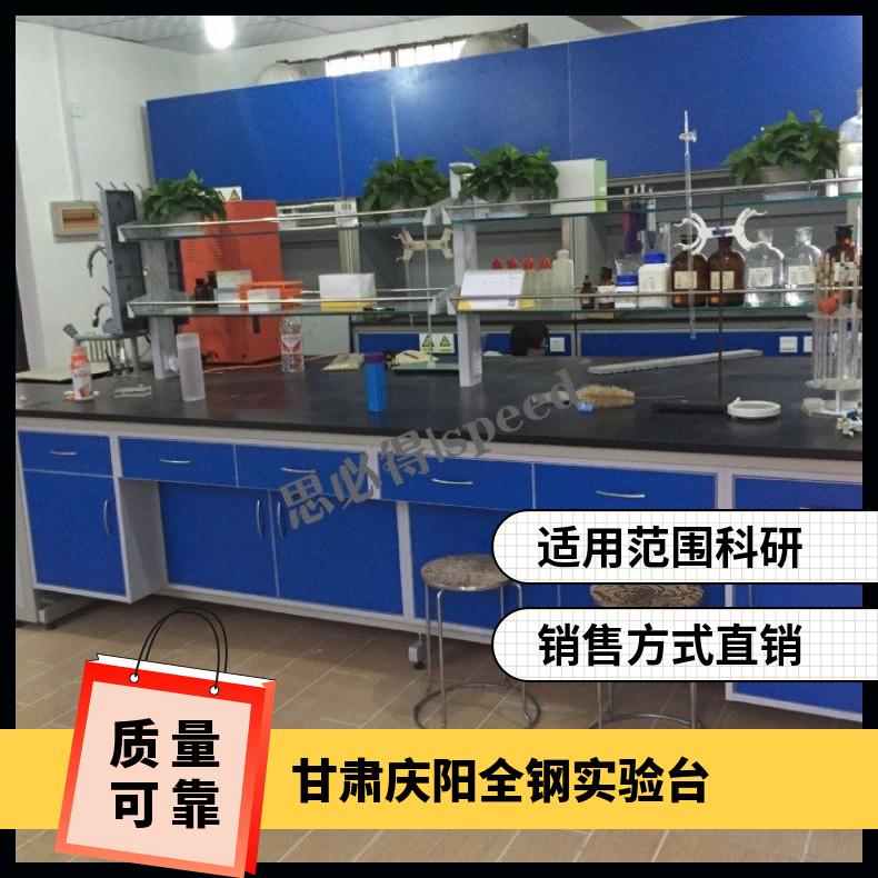 全鋼實(shí)驗(yàn)臺(tái)PP通風(fēng)柜鋼制雙瓶氣瓶柜操作臺(tái)廠家思必得speed