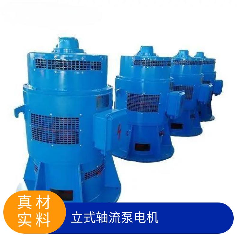 鴻泰YSL立式軸流泵電機JSL-13-10\/155千瓦10極防護等級IP23
